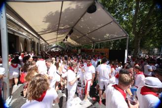 "¿En qué zona del casco o fuera de él no hay quejas o denuncias vecinales en San Fermín?"